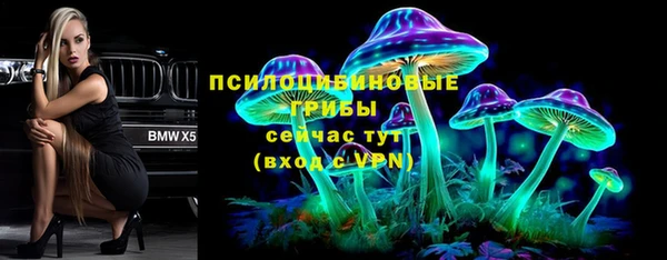 ALPHA-PVP Гусь-Хрустальный