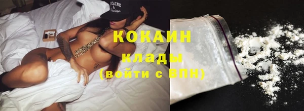 стафф Гусев