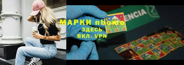 стафф Гусев