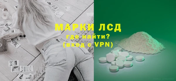 стафф Гусев