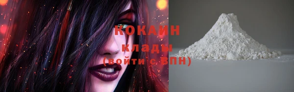 стафф Гусев