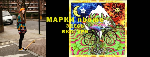 стафф Гусев