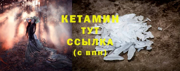 стафф Гусев