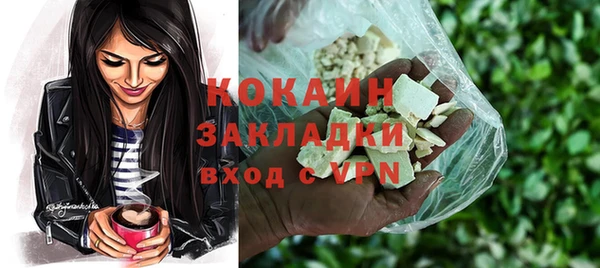 стафф Гусев