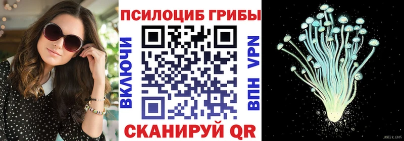 продажа наркотиков  Мценск  Псилоцибиновые грибы GOLDEN TEACHER 