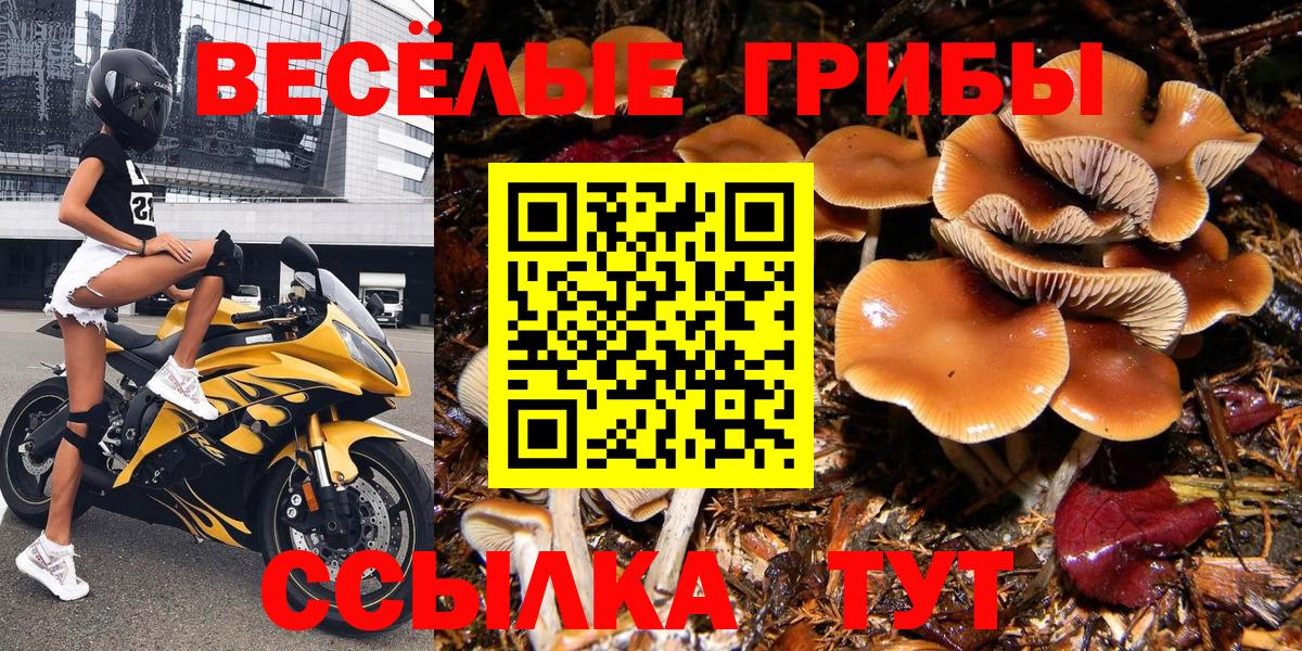 Псилоцибиновые грибы MAGIC MUSHROOMS Мценск